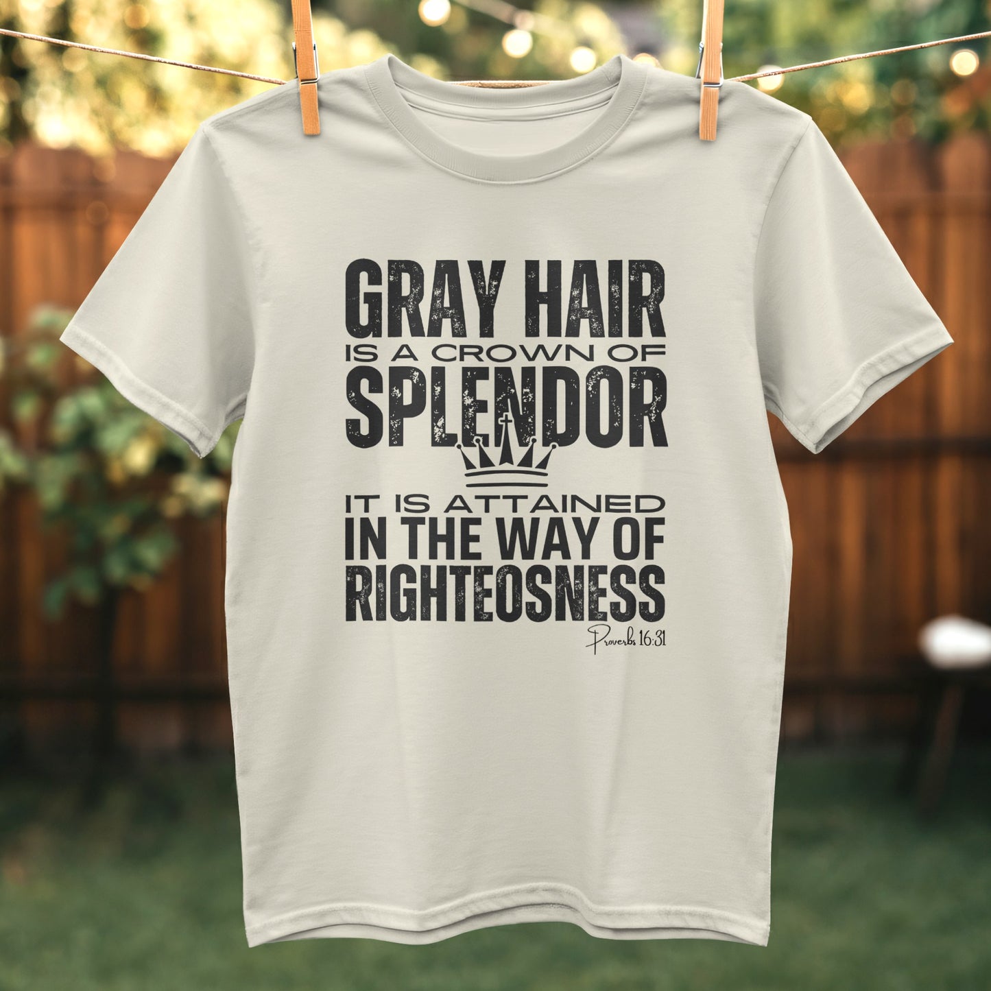 Gray Hair is a Crown of Splendor T-Shirt product type