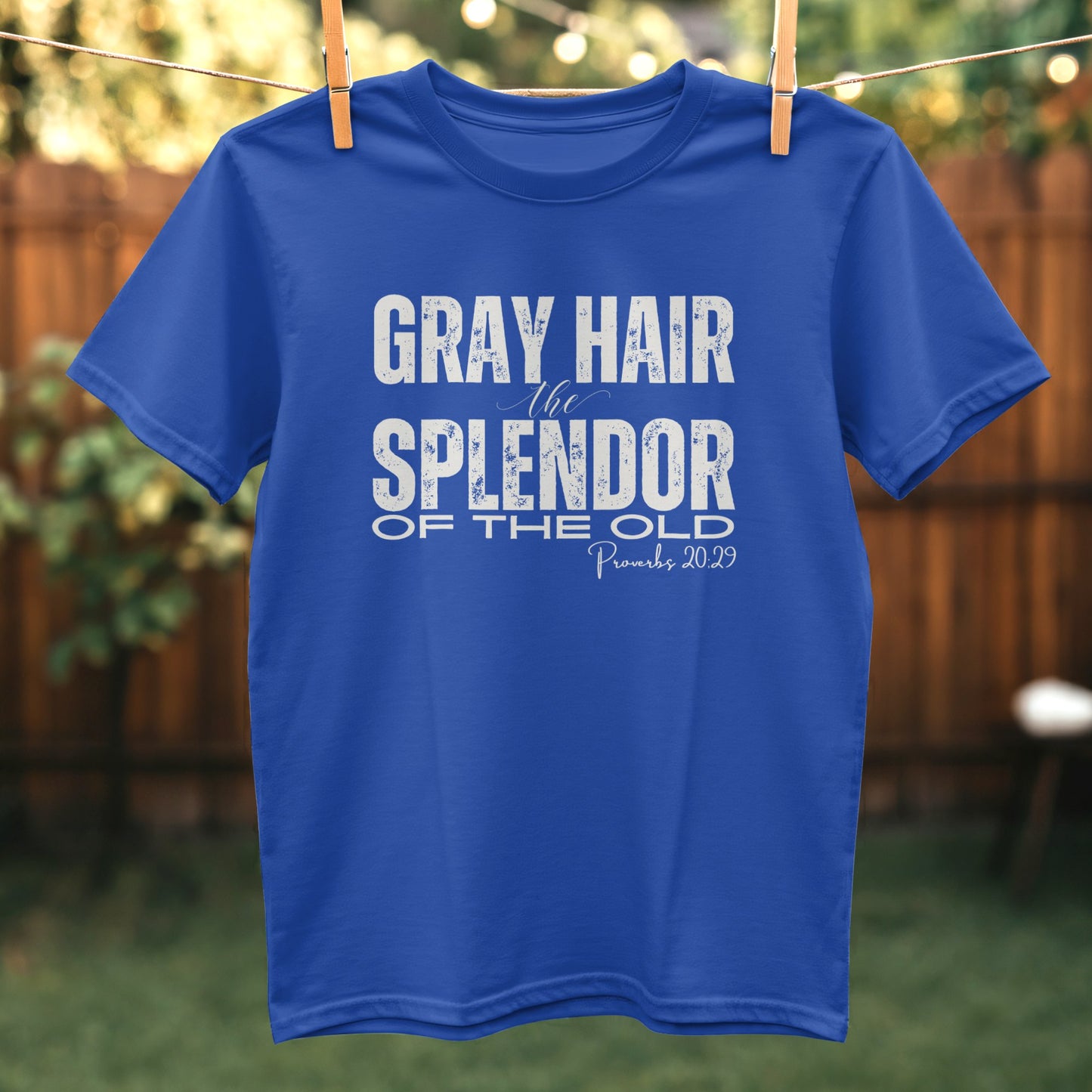Gray Hair Splendor of the Old Proverbs 20 29 T-Shirt Product