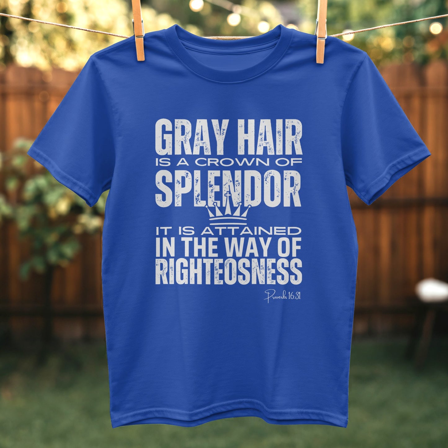 Gray Hair is a Crown of Splendor T-Shirt product type